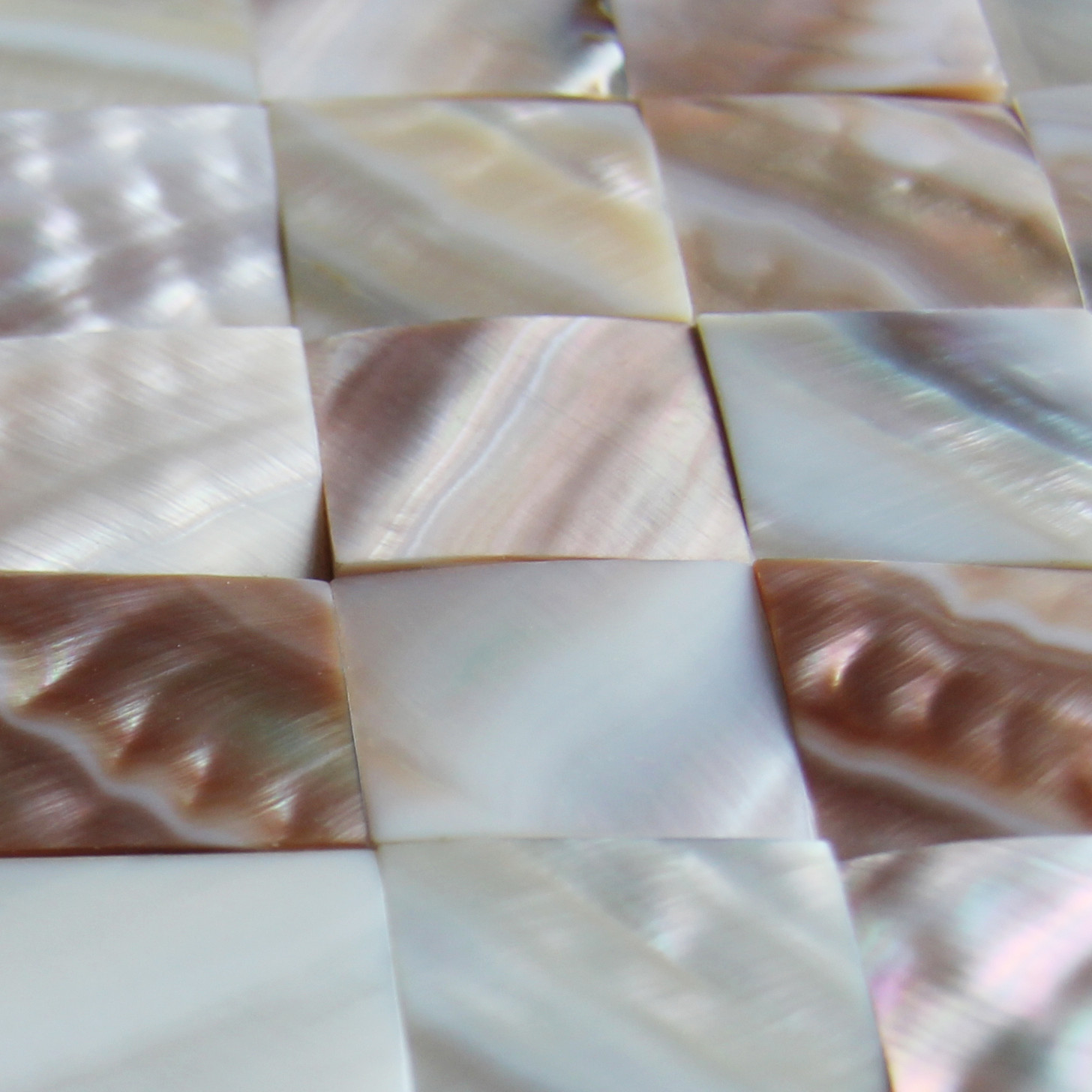 Shell For Wall Rough Surface Beautiful Sea shell Wall Panel Freshwater Shell ...