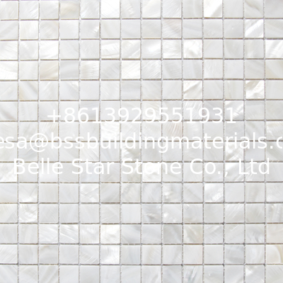 Handmade Beautiful Sea shell Wall Mosaic Freshwater Sea Shell Mosaic 20x20mm 305x305mm