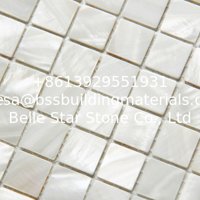 Handmade Beautiful Sea shell Wall Mosaic Freshwater Sea Shell Mosaic 20x20mm 305x305mm