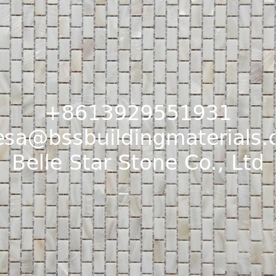 Handmade Beautiful Sea shell Wall Mosaic Freshwater Sea Shell Mosaic Pattern 10x20mm