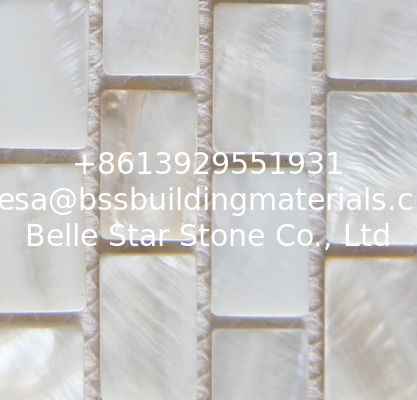 Handmade Beautiful Sea shell Wall Mosaic Freshwater Sea Shell Mosaic Pattern 10x20mm