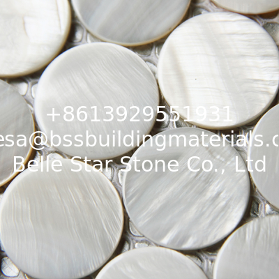 Handmade Beautiful Sea shell Mosaic Freshwater Shell Mosaic Small Round Pieces in Dia 25mm