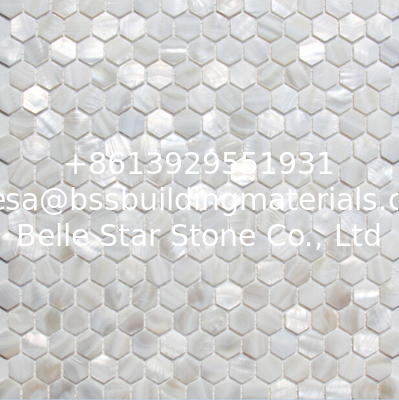 Handmade Beautiful  Sea Shell Wall Mosaic Freshwater Sea Shell Mosaic Hexagon Shape 23.5mm