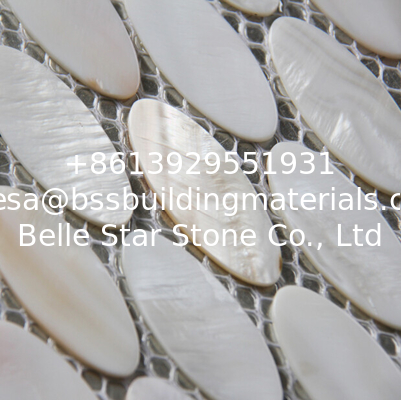 Handmade Beautiful Sea shell Wall Mosaic Freshwater Sea Shell Mosaic Oval Shape 15x28mm