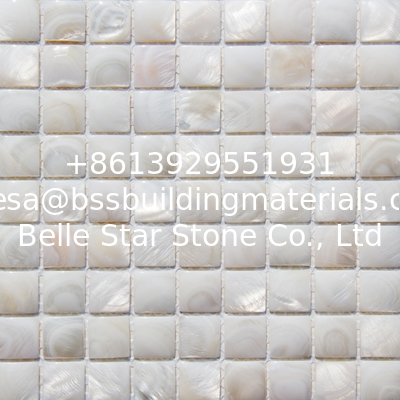 Handmade Beautiful Sea shell Mosaic Freshwater Shell Mosaic with Convex Surface 20x20mm