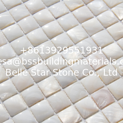 Handmade Beautiful Sea shell Mosaic Freshwater Shell Mosaic with Convex Surface 20x20mm