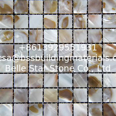 Handmade Beautiful Sea shell Mosaic Freshwater Shell Mosaic Colorful Small Pieces 20x20mm