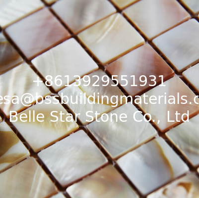 Handmade Beautiful Sea shell Mosaic Freshwater Shell Mosaic Colorful Small Pieces 20x20mm