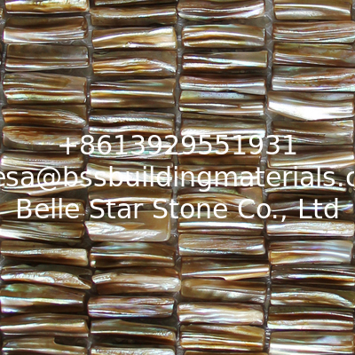 Handmade Beautiful Sea shell Mosaic Freshwater Sea Shell Mosaic with Convex Surface 5x27mm