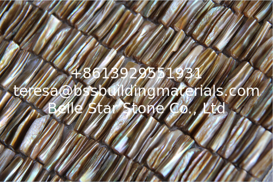 Handmade Beautiful Sea shell Mosaic Freshwater Sea Shell Mosaic with Convex Surface 5x27mm