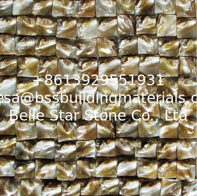 Handmade Beautiful Sea shell Mosaic Freshwater Shell Mosaic with Convex Surface 20x20mm