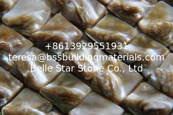 Handmade Beautiful Sea shell Mosaic Freshwater Shell Mosaic with Convex Surface 20x20mm