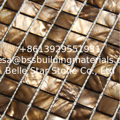 Handmade Beautiful Sea shell Mosaic Freshwater Sea Shell Wall Mosaic Bronze Color 20x20mm