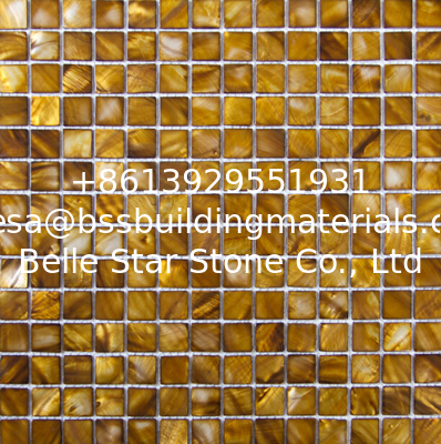 Handmade Beautiful Sea shell Mosaic Freshwater Shell Mosaic Golden Bronze Color 20x20mm