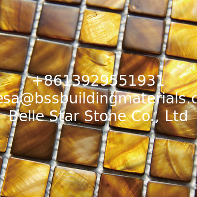 Handmade Beautiful Sea shell Mosaic Freshwater Shell Mosaic Golden Bronze Color 20x20mm