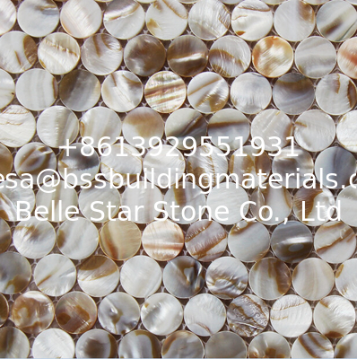 Handmade Beautiful Sea shell Mosaic Freshwater Shell Mosaic Colorful Round Pieces dia 25mm