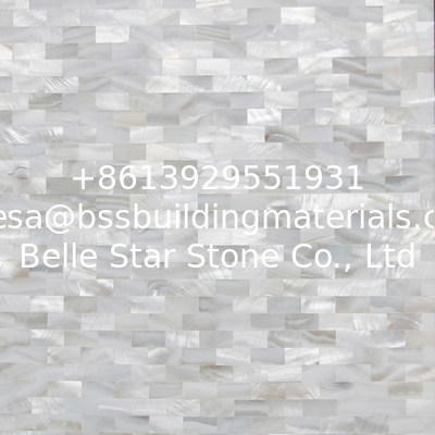 Handmade Beautiful Sea shell Wall Mosaic Panel Freshwater Shell Decorating Panel 10x20mm