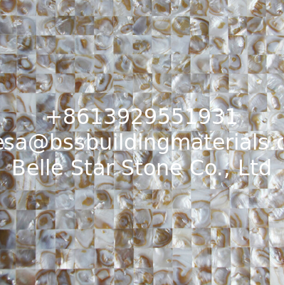 Handmade Beautiful Sea shell Wall Mosaic Panel Freshwater Shell Decorating Panel 17x17mm