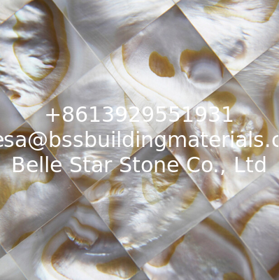 Handmade Beautiful Sea shell Wall Mosaic Panel Freshwater Shell Decorating Panel 17x17mm