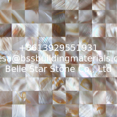 Handmade Beautiful Sea shell Wall Mosaic Panel Freshwater Shell Decorating Panel 15x15mm