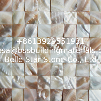 Rough Surface Beautiful Sea shell Wall Panel Freshwater Shell Decorating Panel 30x30mm