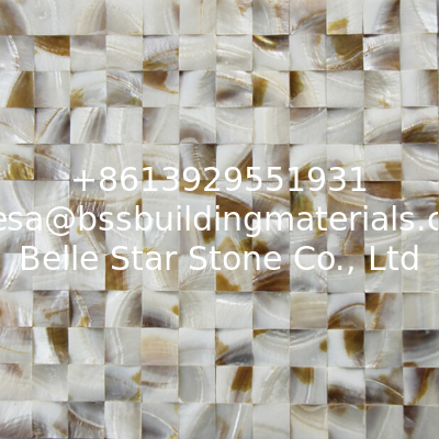 Rough Surface Beautiful Sea shell Wall Cladding Freshwater Shell Decorating Panel 30x30mm
