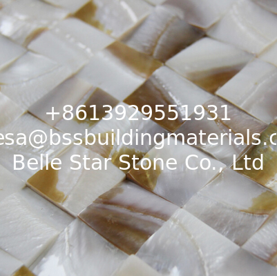Rough Surface Beautiful Sea shell Wall Cladding Freshwater Shell Decorating Panel 30x30mm