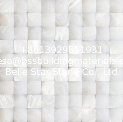 Convex Surface Beautiful Sea shell Wall Panel Freshwater Shell Decorating Panel 20x20mm