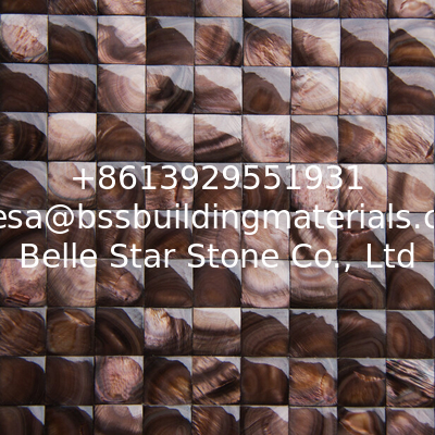 Convex Surface Beautiful Sea shell Wall Panel Freshwater Shell Decorating Panel 20x20mm