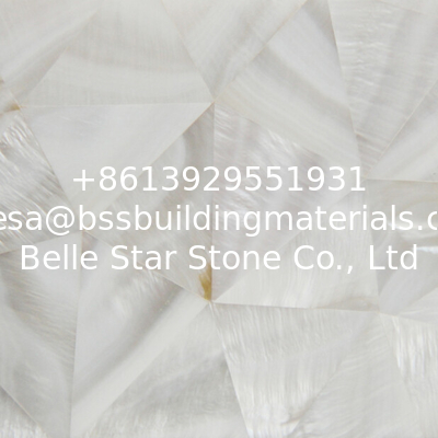Handmade Beautiful Sea shell Wall Panel Freshwater Shell Decorating Panel Triangle 10-35mm