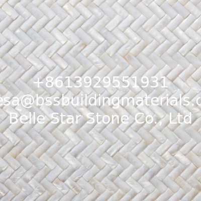 Convex Surface Beautiful Sea shell Wall Panel Freshwater Shell Decorating Panel 10x20mm