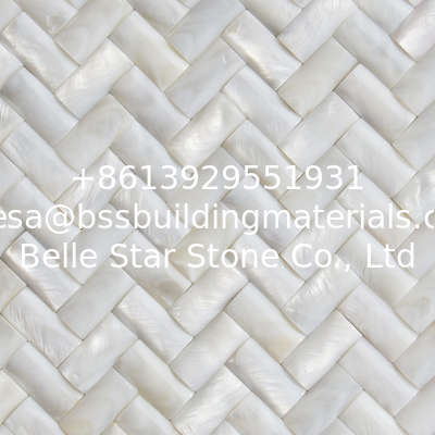 Convex Surface Beautiful Sea shell Wall Panel Freshwater Shell Decorating Panel 10x20mm
