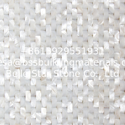 Convex Surface Beautiful Sea shell Wall Panel Freshwater Shell Decorating Panel 10x20mm