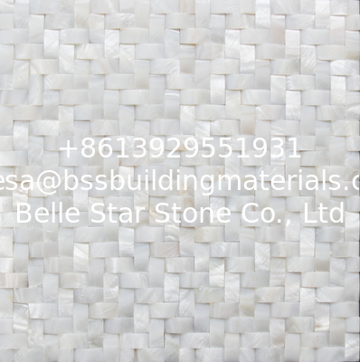 Convex Surface Beautiful Sea shell Wall Panel Freshwater Shell Decorating Panel 10x20mm