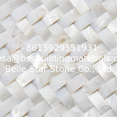 Convex Surface Beautiful Sea shell Wall Panel Freshwater Shell Decorating Panel 10x20mm
