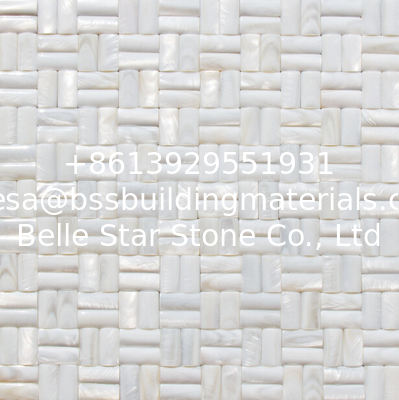 Convex Surface Beautiful Sea shell Wall Panel Freshwater Shell Decorating Panel 10x20mm