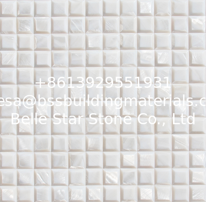 High Block Surface Beautiful Seashell Wall Panel Freshwater Shell Decorating Panel 20x20mm