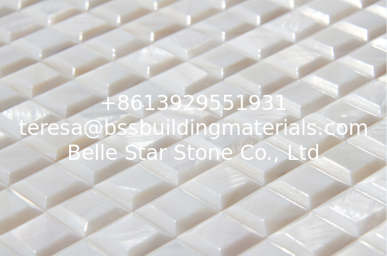 High Block Surface Beautiful Seashell Wall Panel Freshwater Shell Decorating Panel 20x20mm