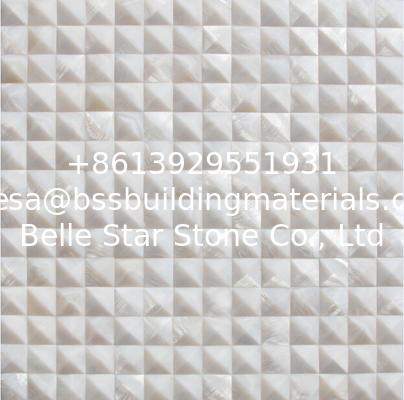 Convex Pinnacle Surface Sea shell Wall Panel Freshwater sea Shell Decorating Panel 20x20mm