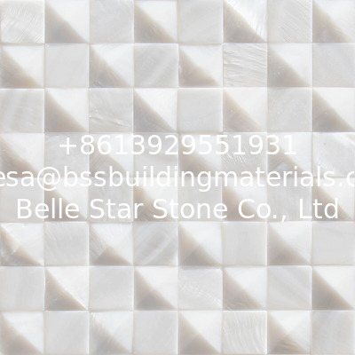Convex Pinnacle mixed Flat Small Pieces Seashell Wall Panel Freshwater Shell Panel 20x20mm