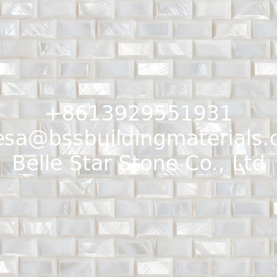 Convex High Block Surface Sea shell Wall Panel Freshwater Shell Decorating Panel 10x20mm