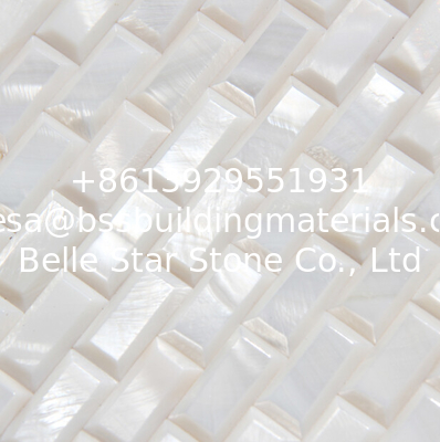 Convex High Block Surface Sea shell Wall Panel Freshwater Shell Decorating Panel 10x20mm