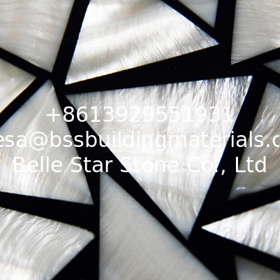 Seashell Wall Panel Freshwater Shell Panel Triangle Pieces in 20x20mm with Black Surrounds