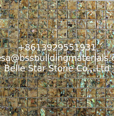 Handmade Beautiful Shiny Colorful Sea shell Mosaic Abalone Sea Shell Wall Mosaic 20x20mm