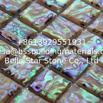 Handmade Beautiful Shiny Colorful Sea shell Mosaic Abalone Sea Shell Wall Mosaic 20x20mm