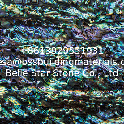 Sea shell Wall Cladding Abalone Shell Decorating Panel Shiny Colorfully in 120x240mm