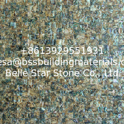 Handmade Sea shell Wall Panel Abalone Shell Decorating Panel Shiny Colorfully in 20x20mm