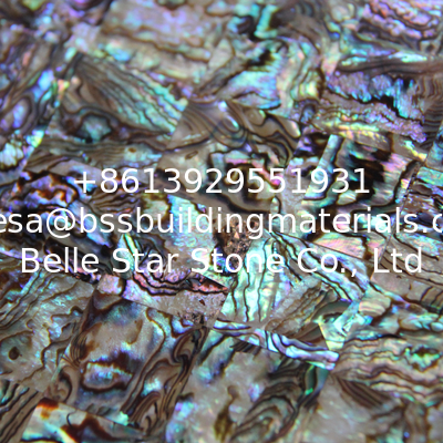 Handmade Sea shell Wall Panel Abalone Shell Decorating Panel Shiny Colorfully in 20x20mm