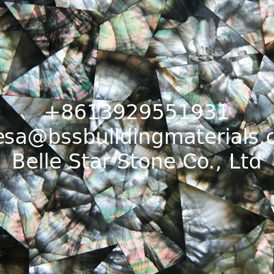With Breaking Veins Sea shell Wall Panel Black Butterfly Shell Decorating Panel 10-35mm