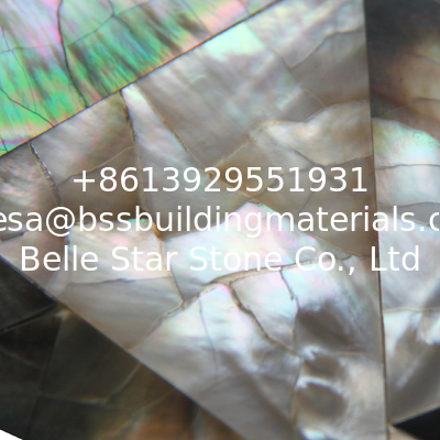 With Breaking Veins Sea shell Wall Panel Black Butterfly Shell Decorating Panel 10-35mm